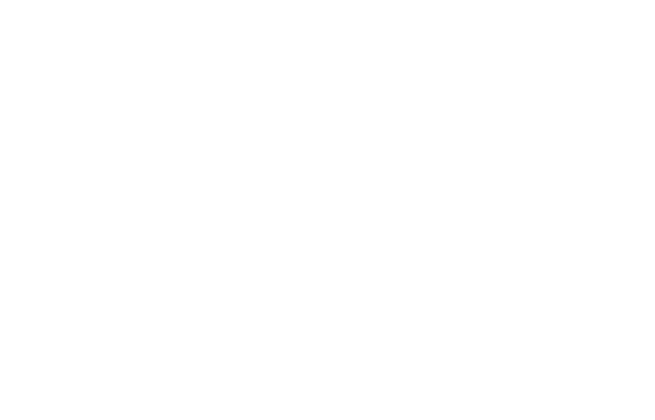 2026 Bergara Pricing Guide