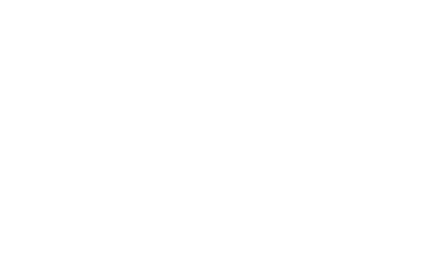 Browning 