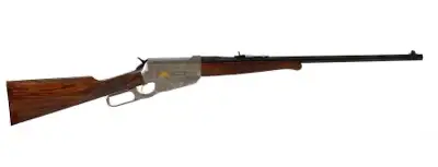 Browning 1895