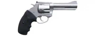 Charter Arms Mag Pug Target