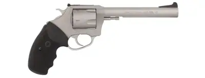Charter Arms Pitbull
