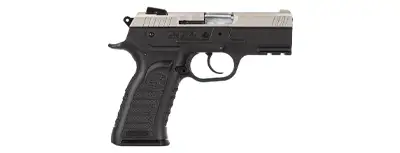 EAA Witness P