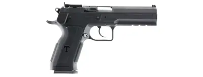 EAA Witness Pavona