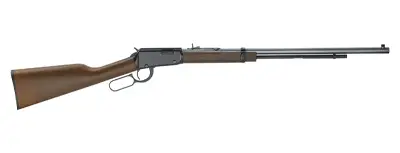 Henry Frontier Model