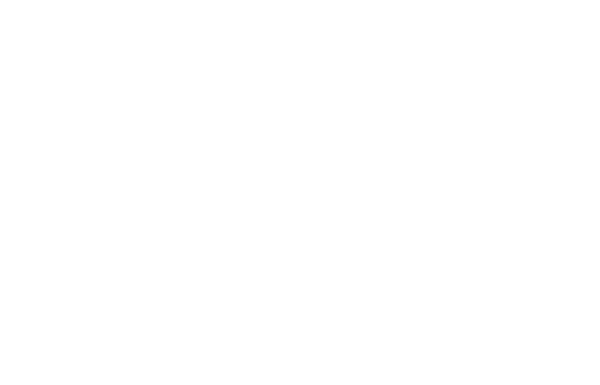 2025 Marlin Pricing guide