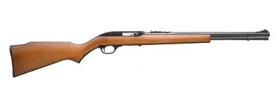 Model 60