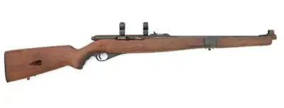 2025 Mossberg Model 151M Value Guide