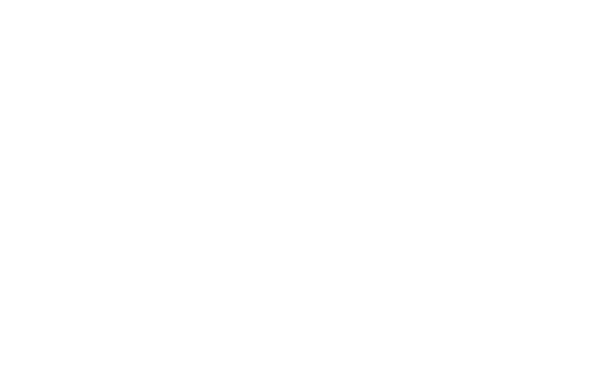 2025 Shadow Systems Pricing Guide