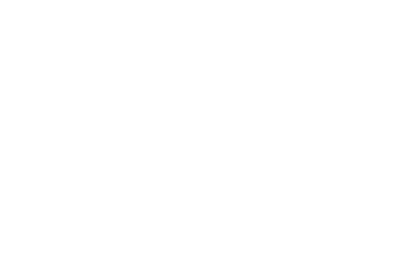 2026 Stoeger Pricing Guide