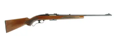 2025 Winchester Model 88 Value Guide