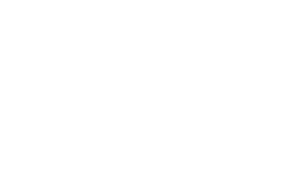 2026 Zastava Pricing Guide