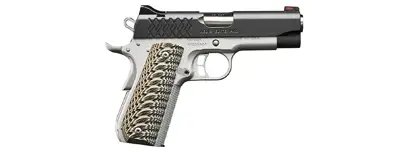 Kimber Aegis