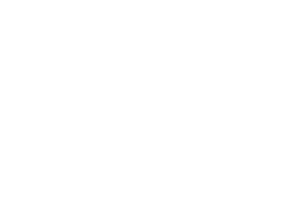 Kimber 